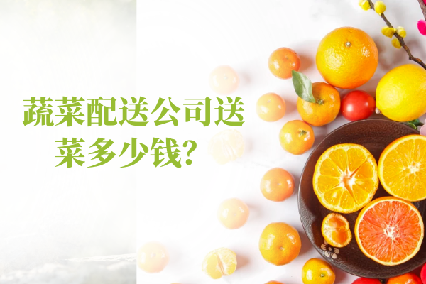 蔬菜配送公司送菜多少錢？